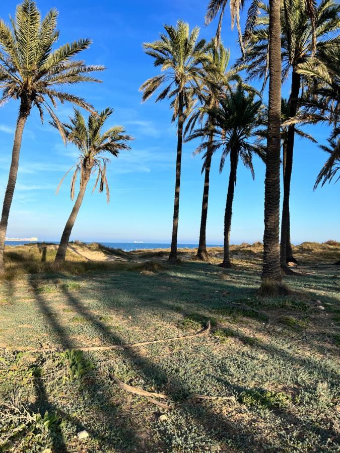 Gound Floor Bungalow Jumilla III Playa Flamenca Dehesa de Campoamor  Luaran gambar